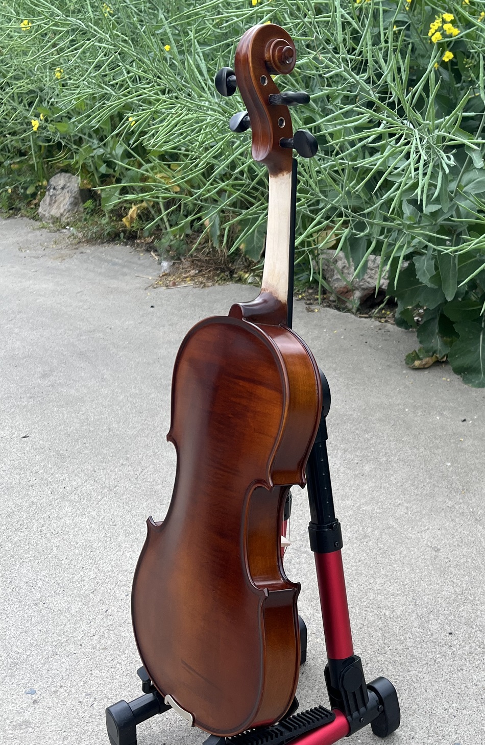 Red brown violin (3)