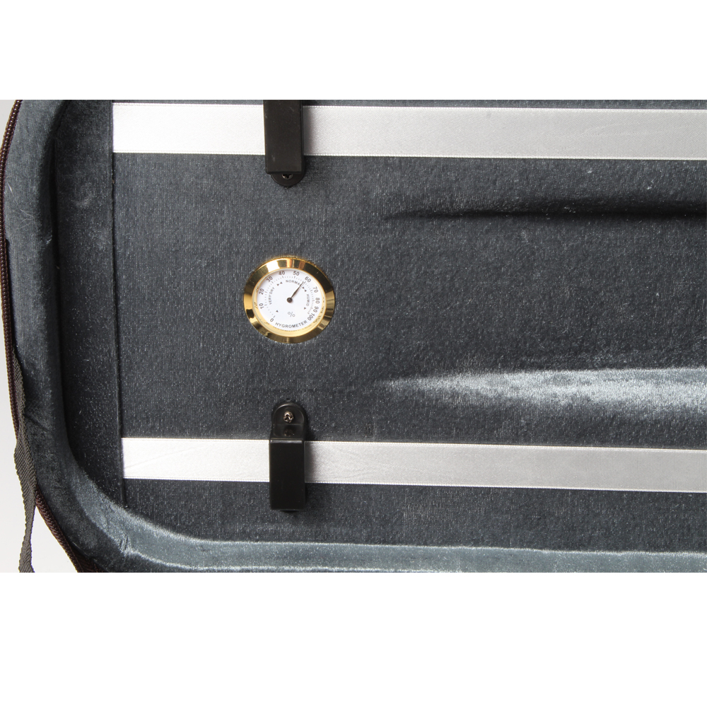 Oblong Violin Light Case - Image 4