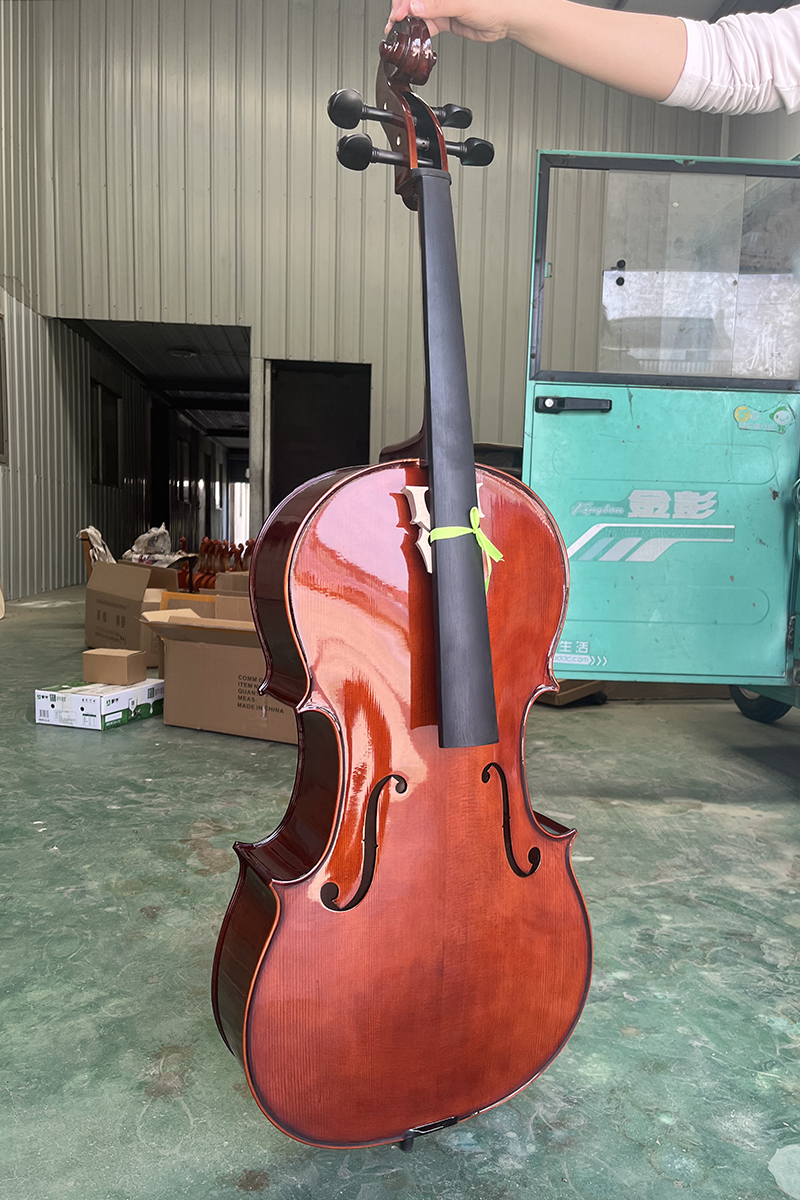HC35 CELLO NEW (4)