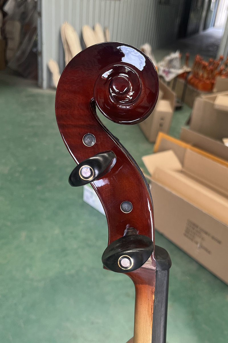 HC35 CELLO NEW (5)