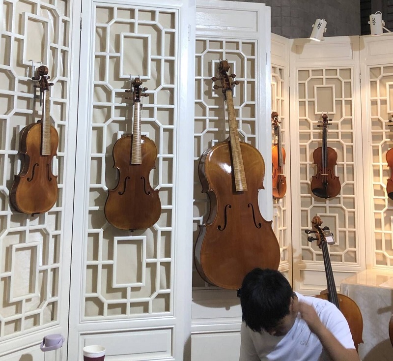 Baroque Stringed Instruments family