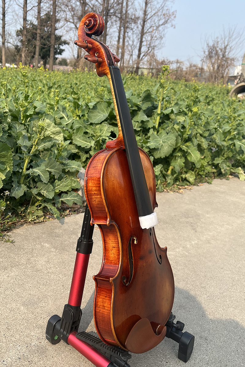 European Material Ming Jiang Zhu 1735 Degville Violin VN905 - Image 2