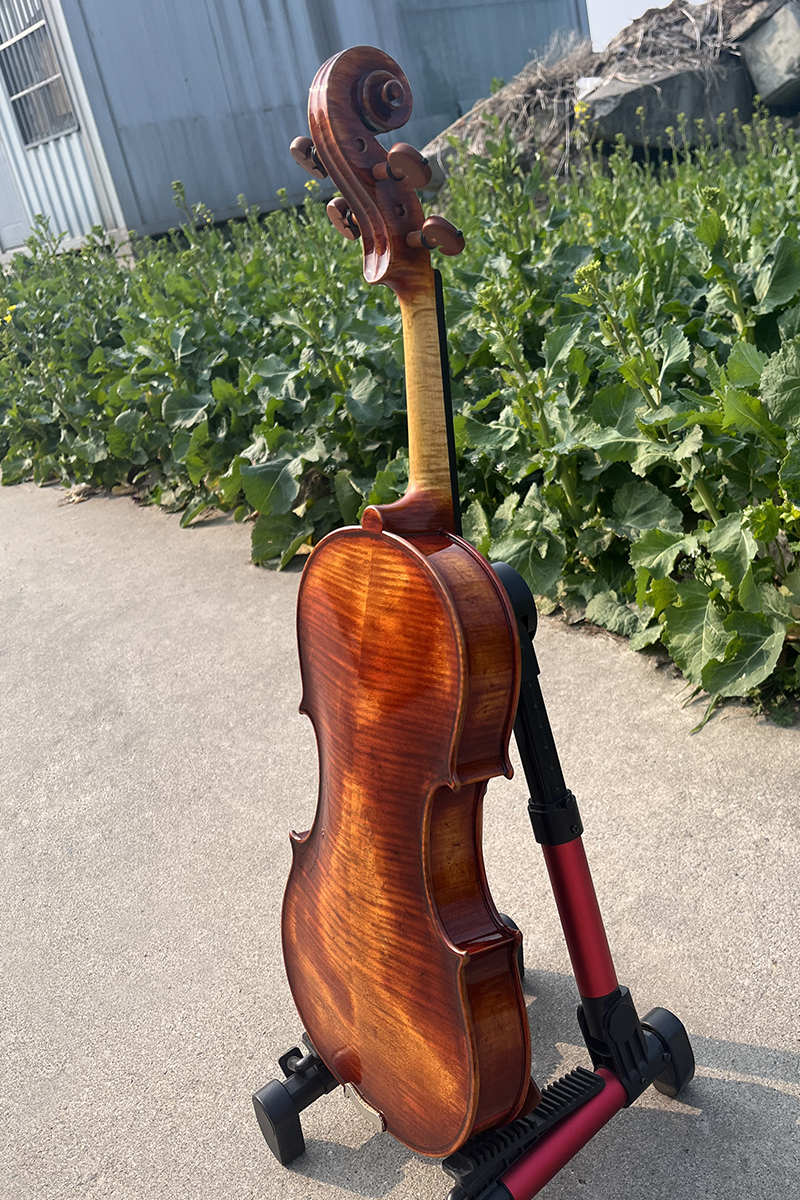 European Material Ming Jiang Zhu 1735 Degville Violin VN905 - Image 3