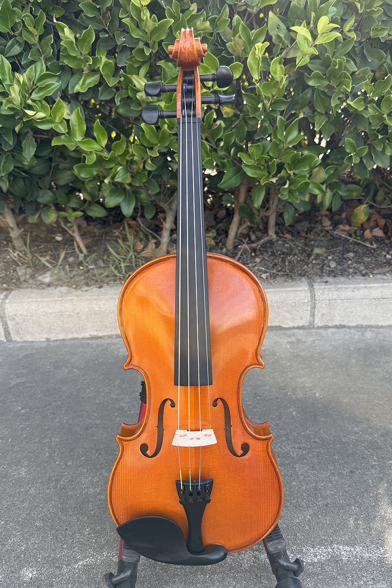 510 european violin (3)