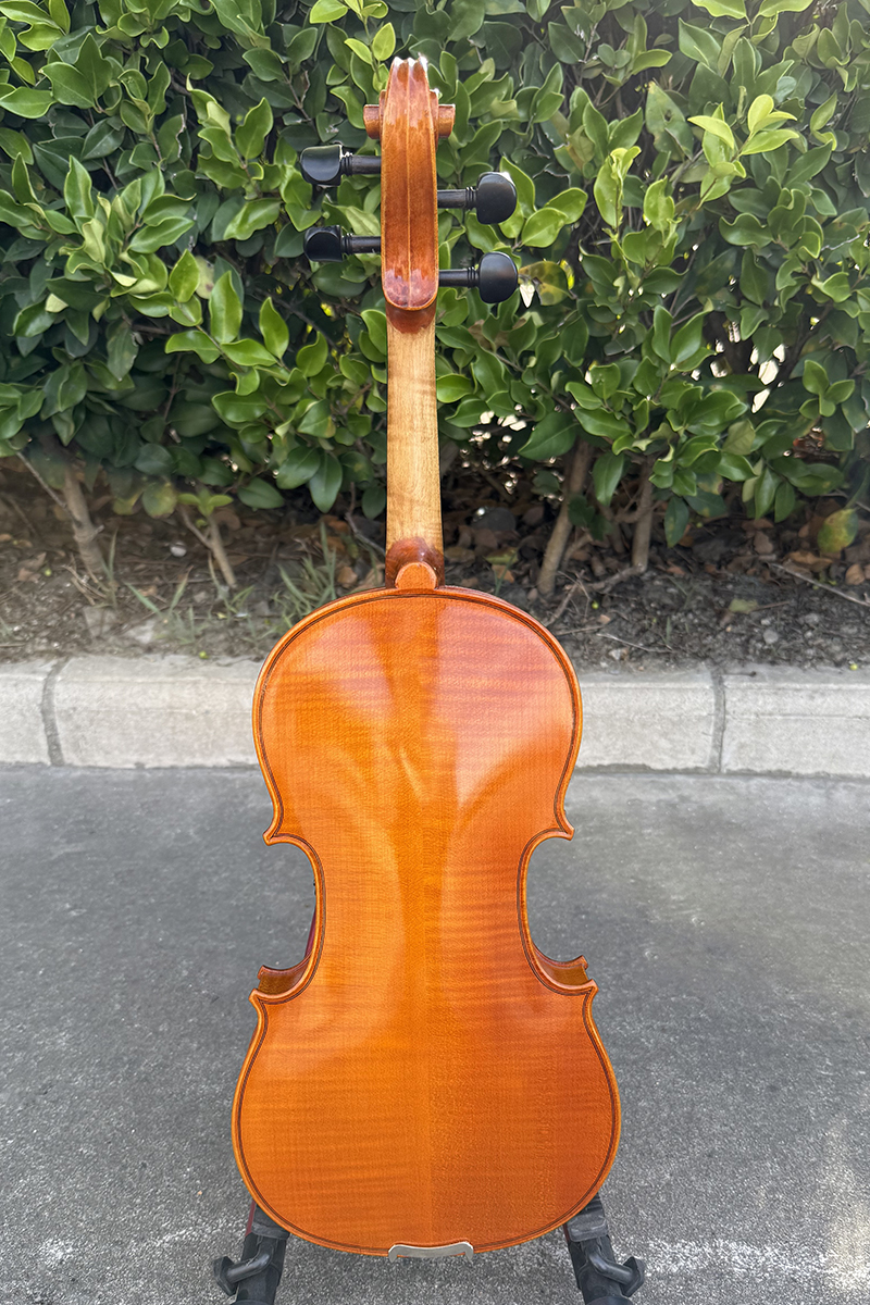 510 european violin (4)