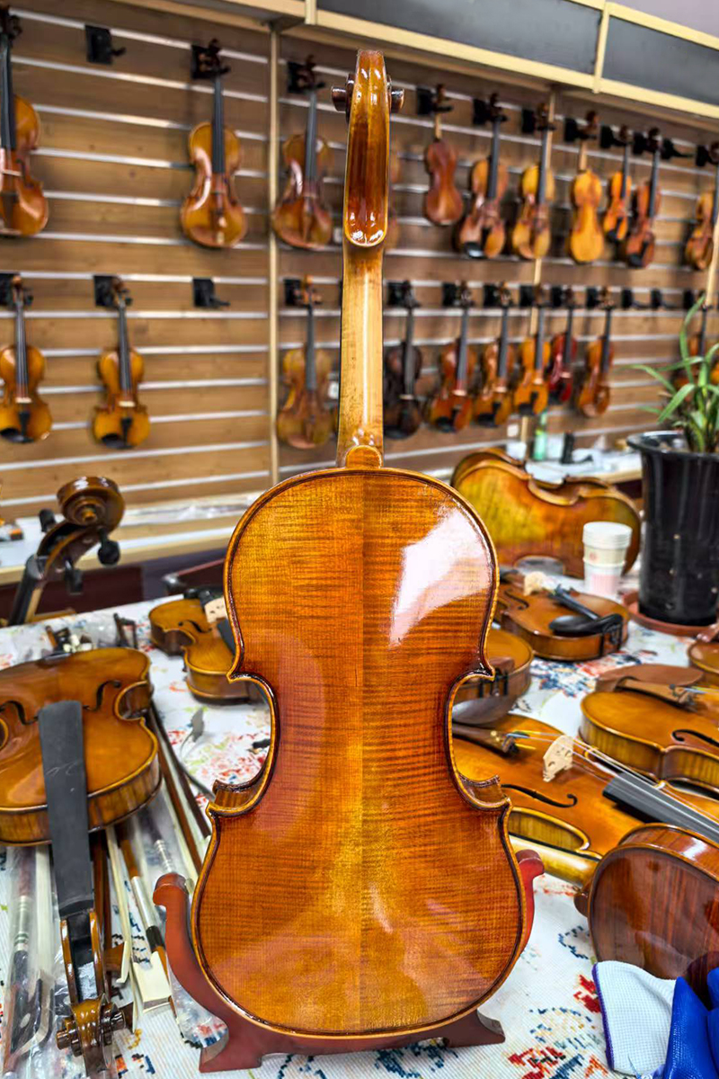 cao violin (1)