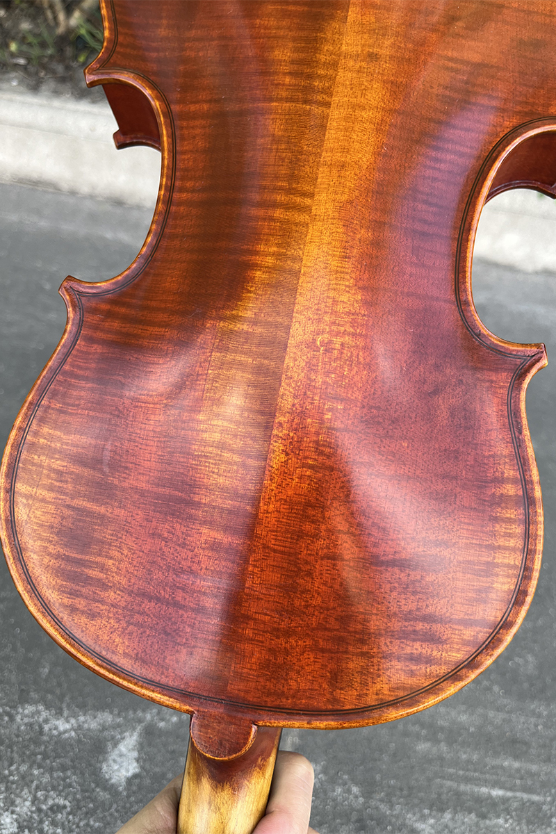 cao style violin european (12)