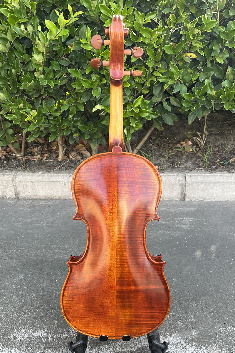 cao style violin european (9)