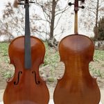1712 Davidoff European Material Professional Cello HC07